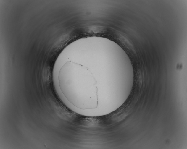 X0000090470328200708031310