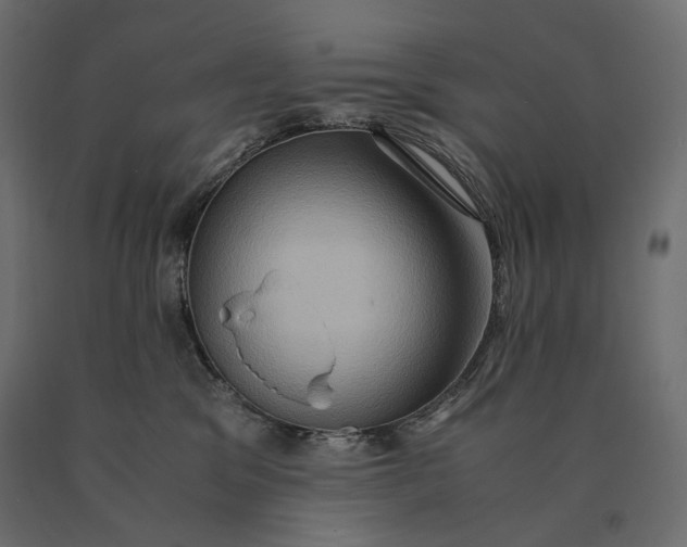 X0000090470329200708031310