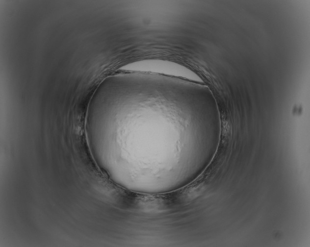 X0000090470331200708031310