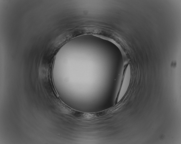 X0000090470333200708031310