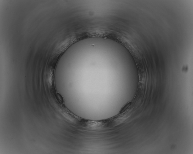 X0000090470334200708031310