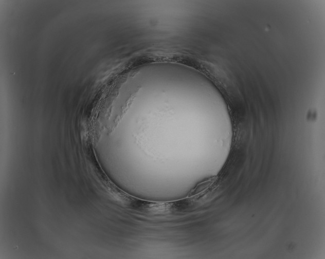 X0000090470335200708031310