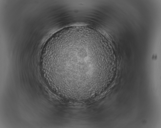 X0000090470337200708031310