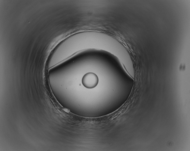 X0000090470340200708031310