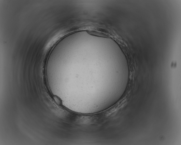 X0000090470341200708031310