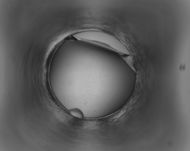 X0000090470342200708031310