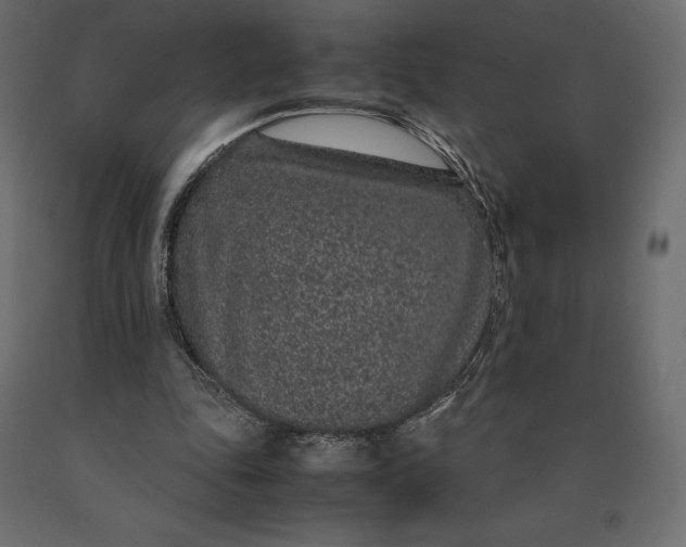 X0000090470343200708031310