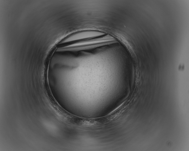 X0000090470346200708031310