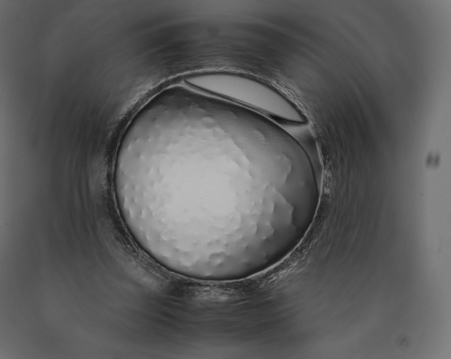 X0000090470347200708031310