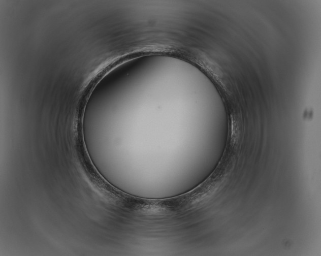 X0000090470348200708031310