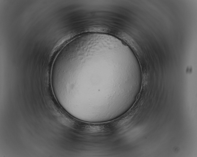 X0000090470349200708031310