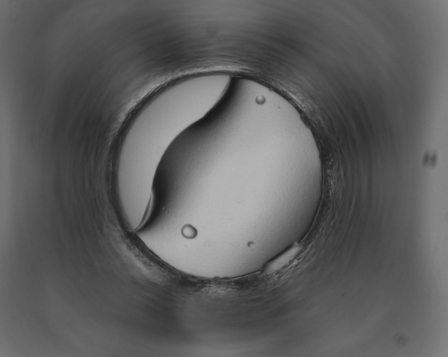 X0000090470350200708031310