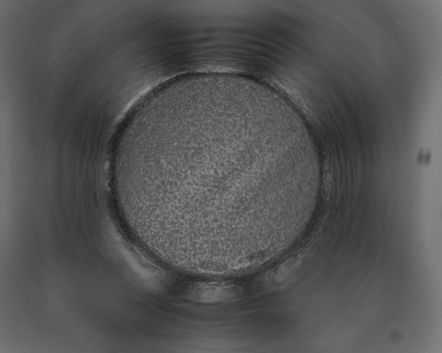 X0000090470351200708031310