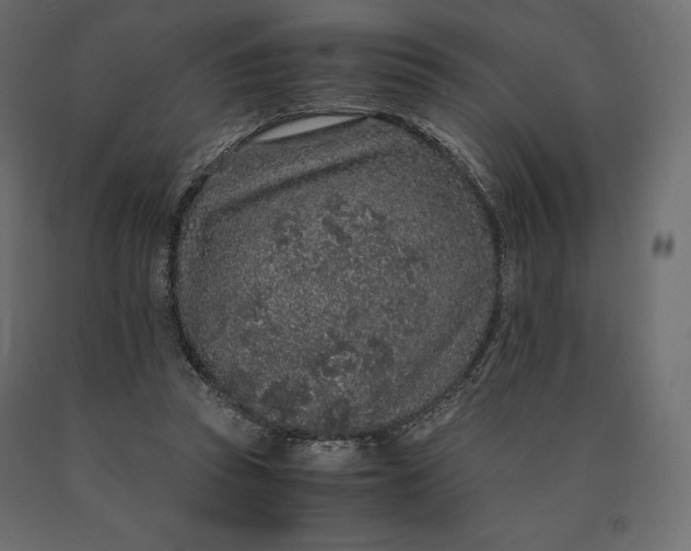 X0000090470353200708031310