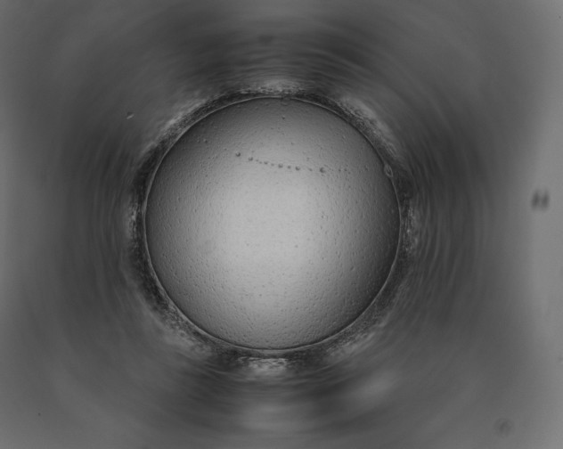 X0000090470355200708031310