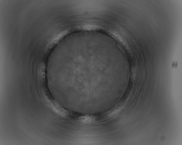 X0000090470356200708031310