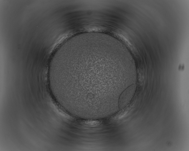 X0000090470357200708031310