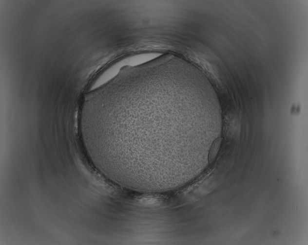 X0000090470358200708031310