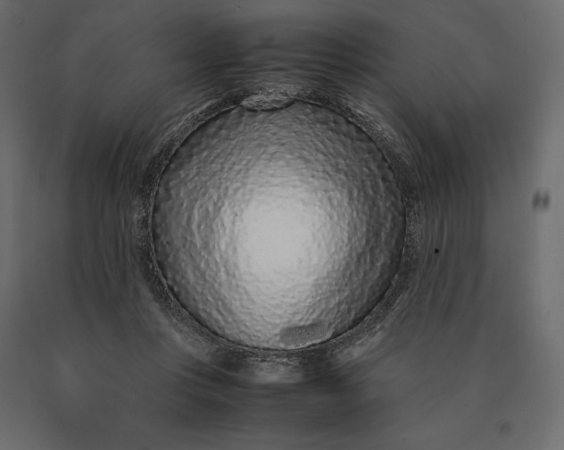 X0000090470359200708031310