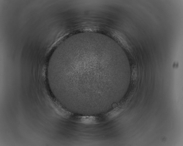 X0000090470363200708031310