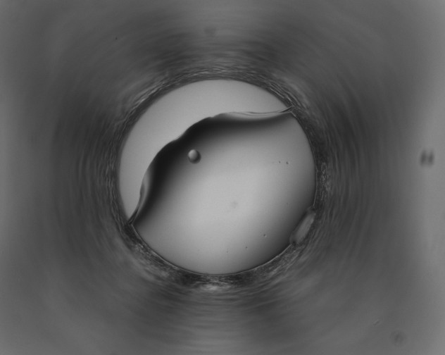 X0000090470364200708031310