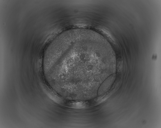 X0000090470365200708031310