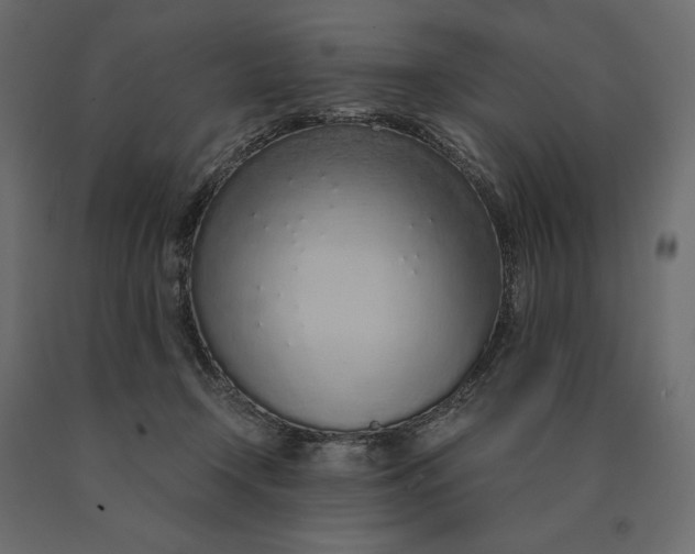 X0000090470366200708031310