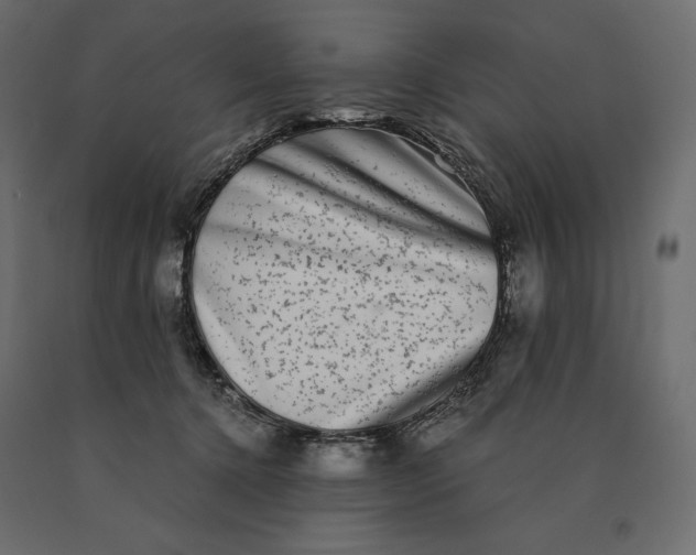 X0000090470368200708031310