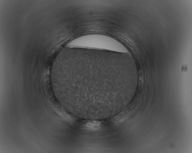 X0000090470369200708031310