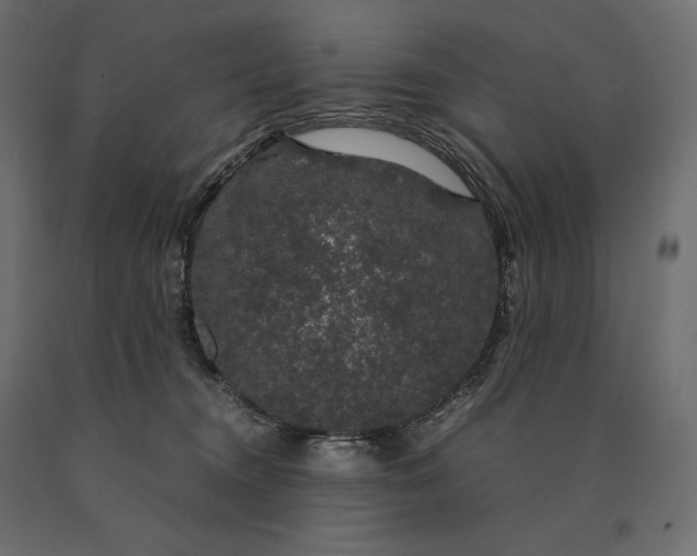 X0000090470372200708031310