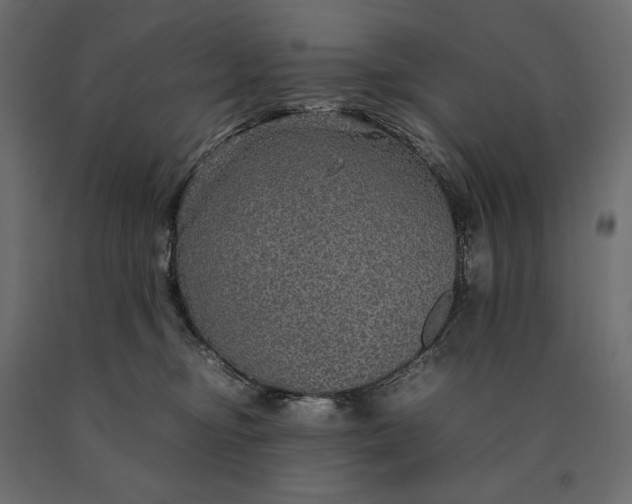 X0000090470374200708031310