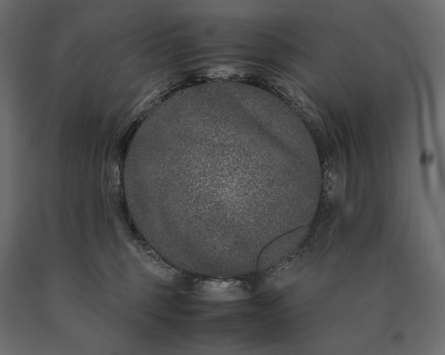 X0000090470375200708031310