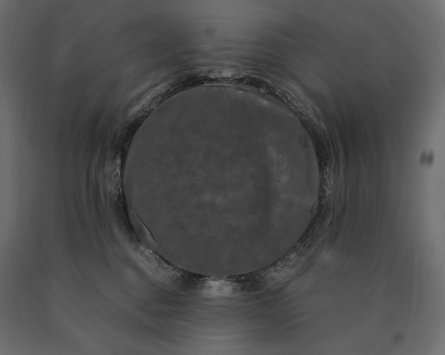 X0000090470376200708031310