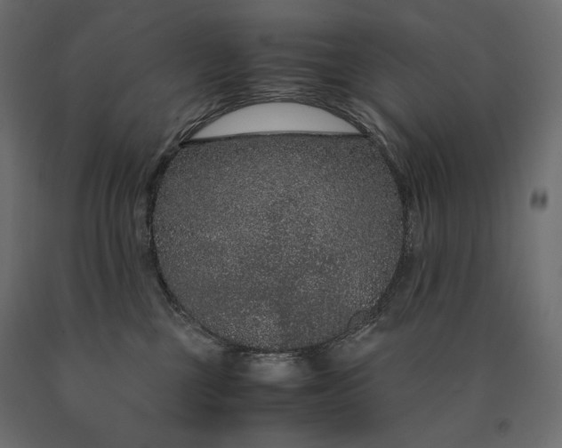 X0000090470377200708031310