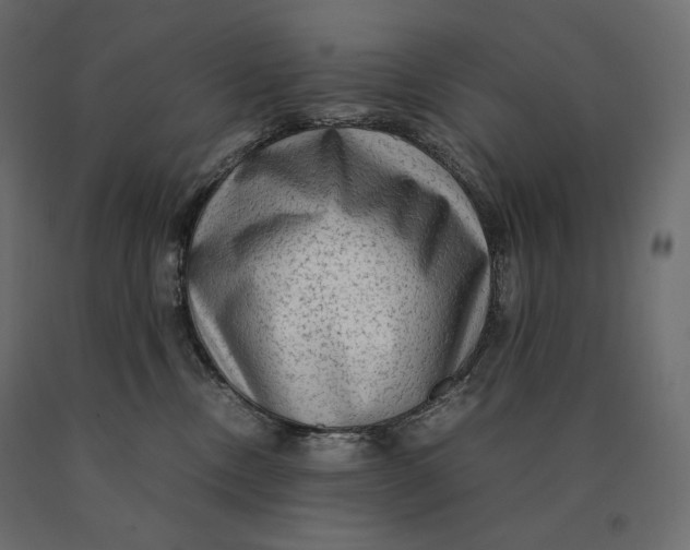 X0000090470378200708031310