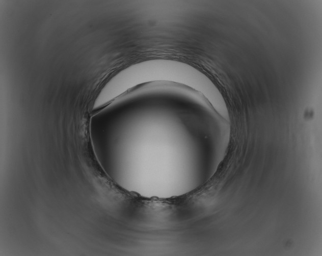 X0000090470380200708031310