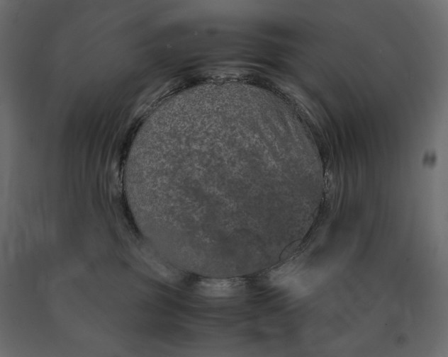 X0000090470381200708031310