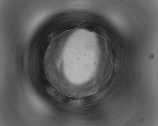 X0000090470383200708031310