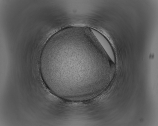 X0000090470385200708031310