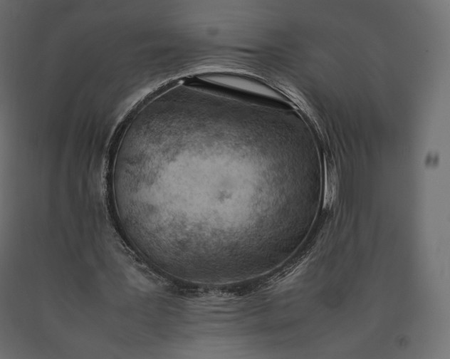 X0000090470387200708031310