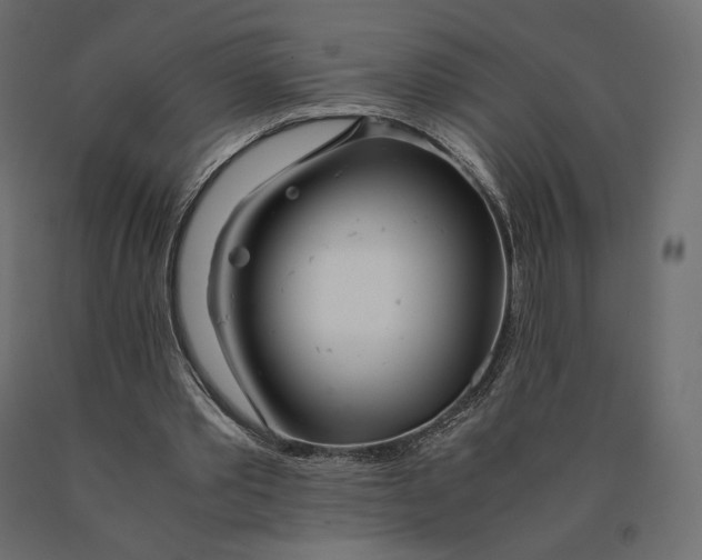 X0000090470389200708031310