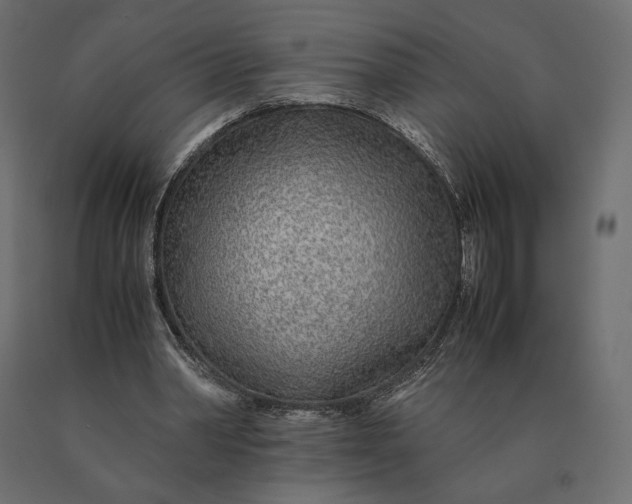 X0000090470390200708031310