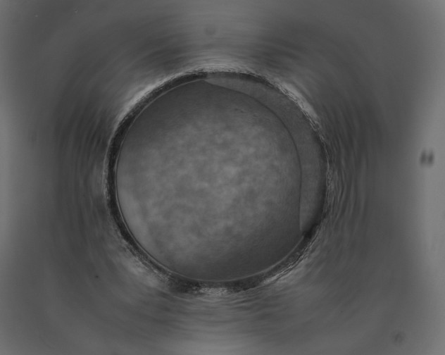 X0000090470391200708031310