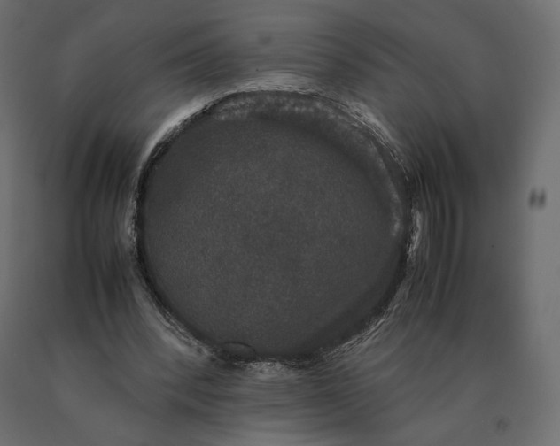 X0000090470392200708031310