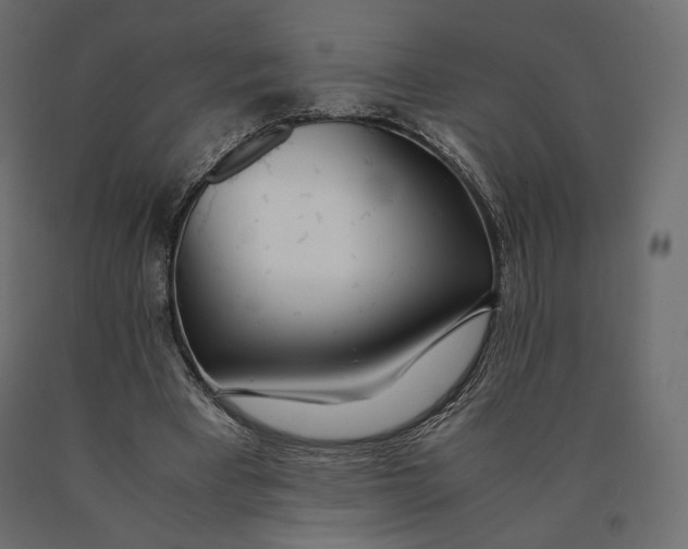 X0000090470393200708031310