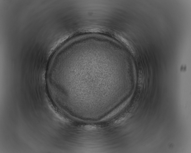 X0000090470394200708031310