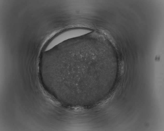 X0000090470395200708031310