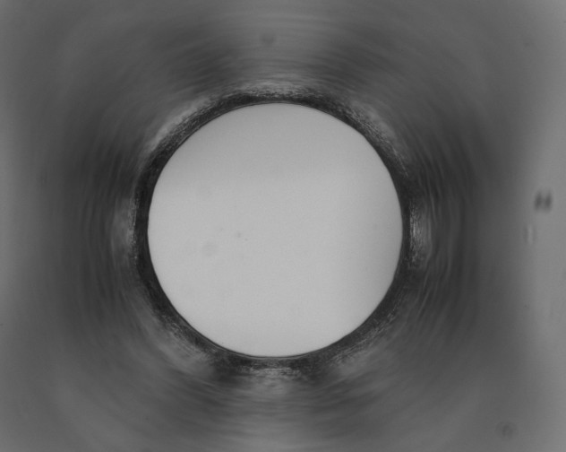 X0000090470396200708031310