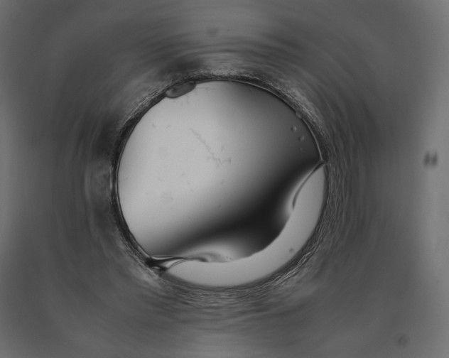 X0000090470397200708031310