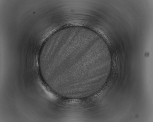 X0000090470398200708031310